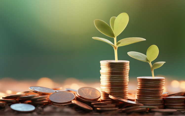 Planting Seeds for Success: Long-Term Investment Strategies for Beginners