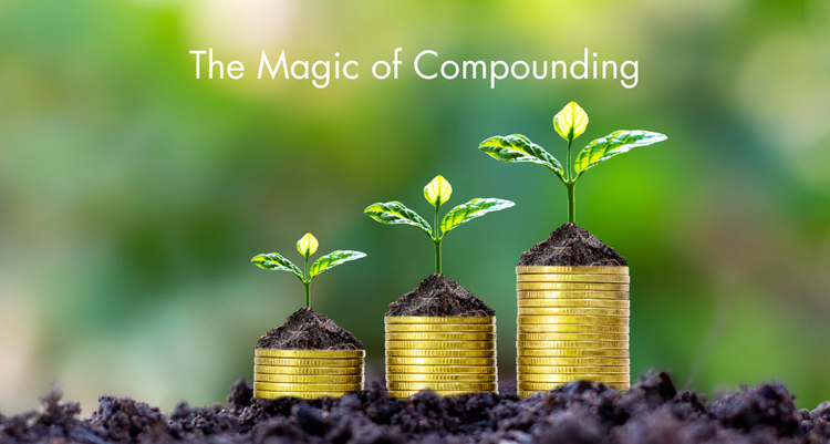 The Magic of Compounding: How Small Investments Lead to Big Returns